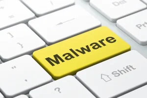 Crucial Steps to Protect Your Data from Malware in Cloud Computing